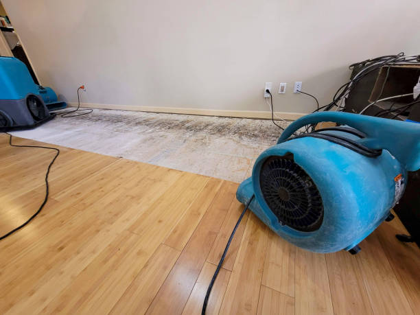 Professional Water Extraction technician working in Copalis Beach, WA